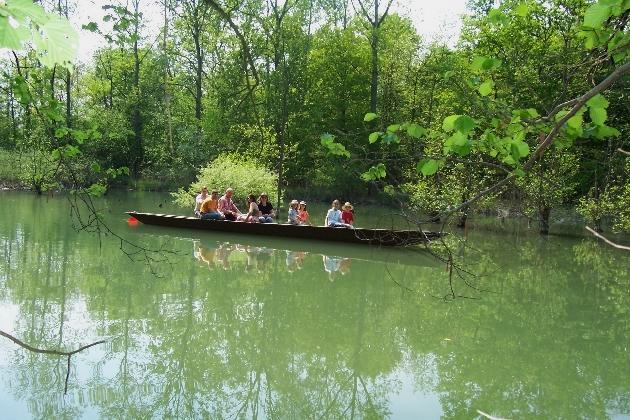 Bild 062.jpg - Eine geführte Kahnfahrt auf der verzweigten Flußlandschaft des Naturschutzgebietes Taubergießen